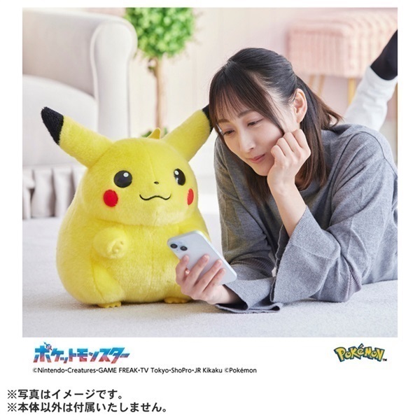 2026年6月16日以降順次お届け ポケモン30周年記念 おかえり
