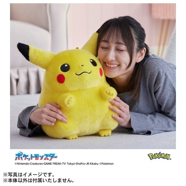 2026年6月16日以降順次お届け ポケモン30周年記念 おかえり