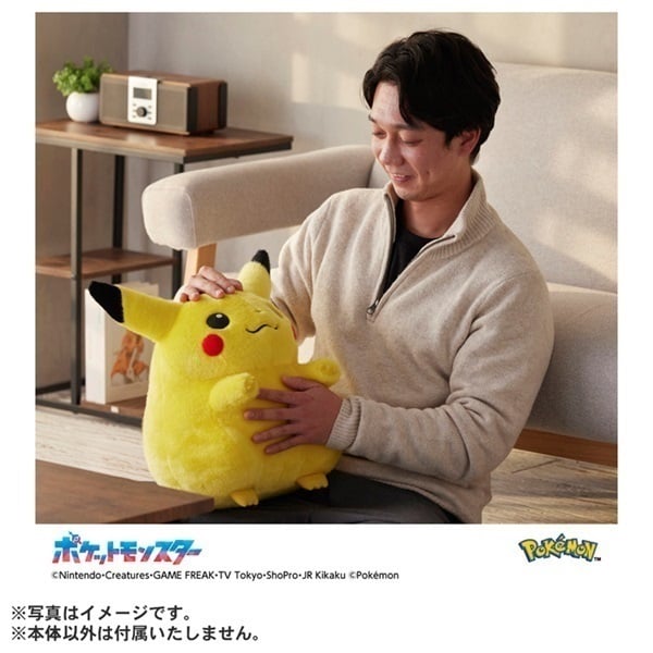 2026年6月16日以降順次お届け ポケモン30周年記念 おかえり