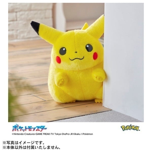 2026年6月16日以降順次お届け ポケモン30周年記念 おかえり