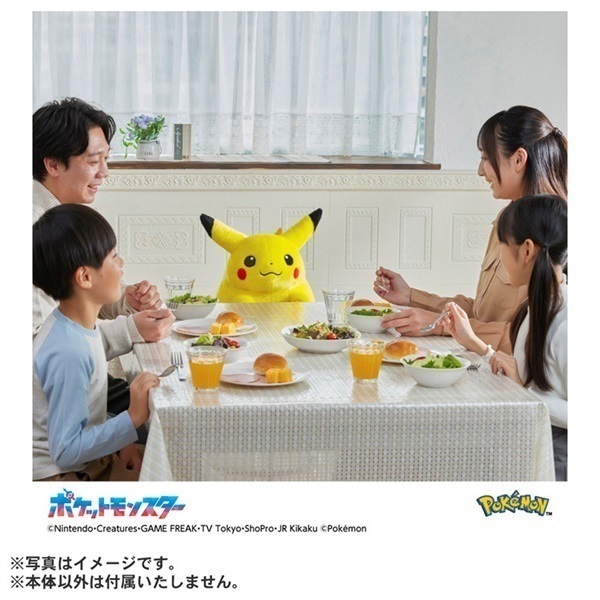 2026年6月16日以降順次お届け ポケモン30周年記念 おかえり
