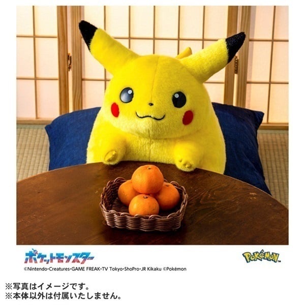 2026年6月16日以降順次お届け ポケモン30周年記念 おかえり