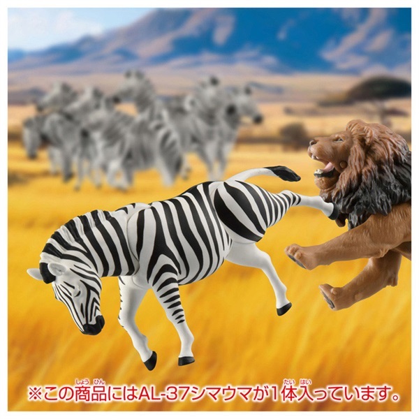 予約 2026年2月28日発売 アニア AL－37 シマウマ お一人さま3点