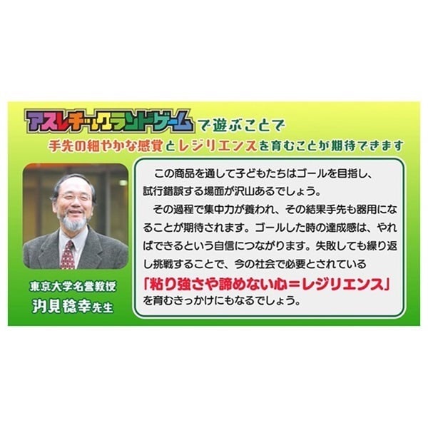 どうぶつしょうぎ　リスのタルト　アスレチックランド等　ボードゲーム9点セット どうぶつしょうぎ リスのタルト アスレチックランド等 ボードゲーム9点