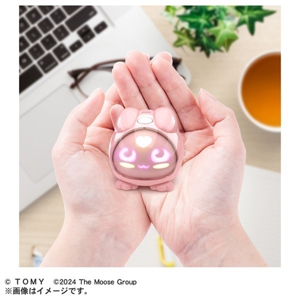 予約 2025年12月27日発売 マイクロペット キャット お一人さま3点限り