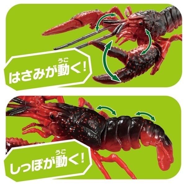 AMEZARI さらばあめりかんザリガニ CD 新品未使用 Japanese music CDs AMEZARI-RED STARS - / Saraba, Amarykan