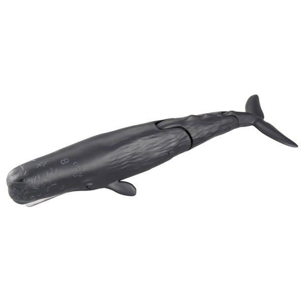 アニア AL－34 マッコウクジラ（水に浮くVer.） お一人さま3点限り