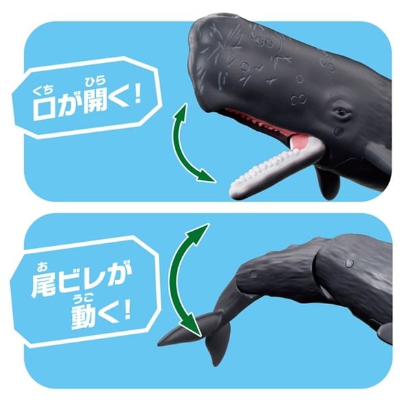 クジラ34 クジラ | リヤドロ公式オンライン