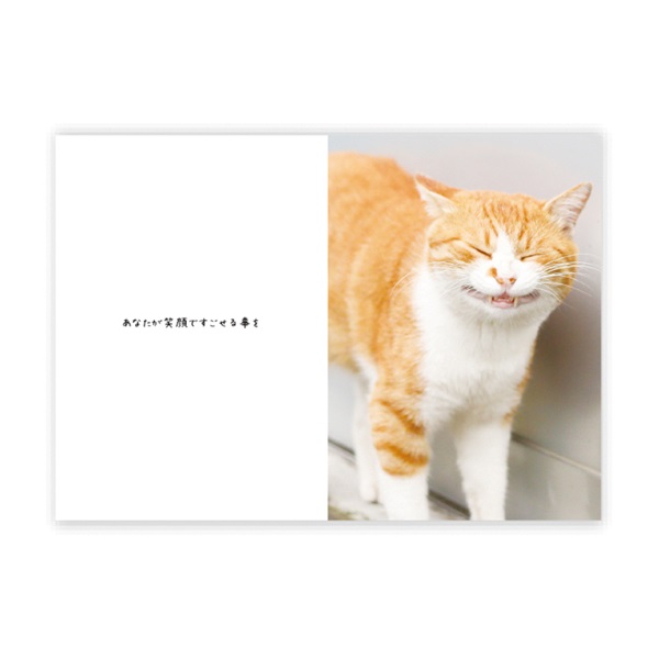 メッセージブック ハッピーにゃースデー （ねこ） | イオンスタイル