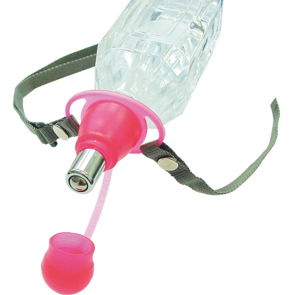 まるまる Amazon.co.jp: マルカン はかせやすいおさんぽシューズ XSサイズ 超