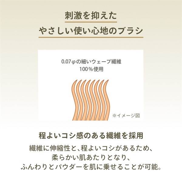 ANESSA アネッサ パーフェクトUV ブラッシュオンパウダー SPF50+