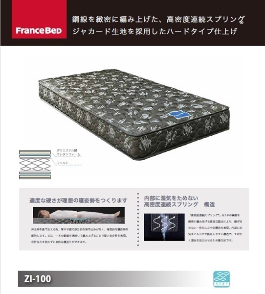 【送料無料】【USED】フランスベッド シングルサイズベッド マットレスセット フランスベッド シングルベッド&マットレス SPT02C LG/ZI-100 | イオン