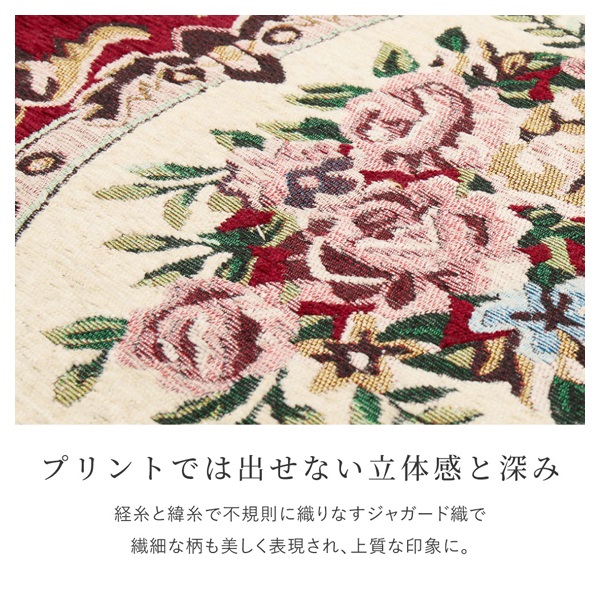 ふっくら厚手のシェニール玄関マット ダミニ | イオンスタイル