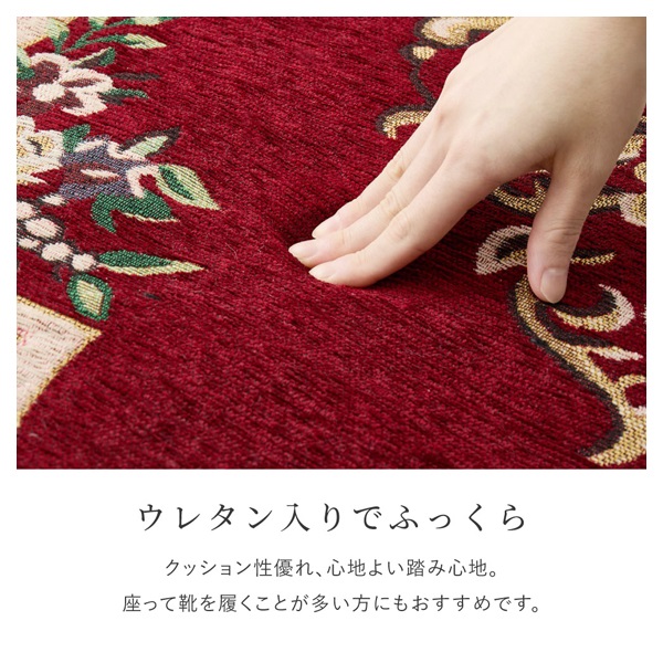 ふっくら厚手のシェニール玄関マット ダミニ | イオンスタイル