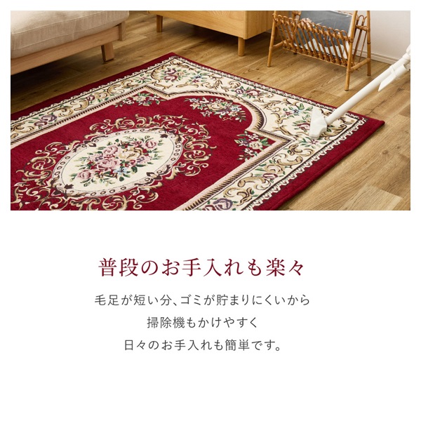ふっくら厚手のシェニール玄関マット ダミニ | イオンスタイル