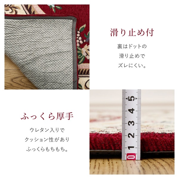 ふっくら厚手のシェニール玄関マット ダミニ | イオンスタイル