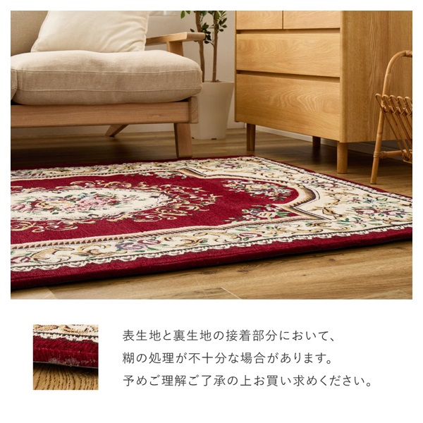 ふっくら厚手のシェニール玄関マット ダミニ | イオンスタイル