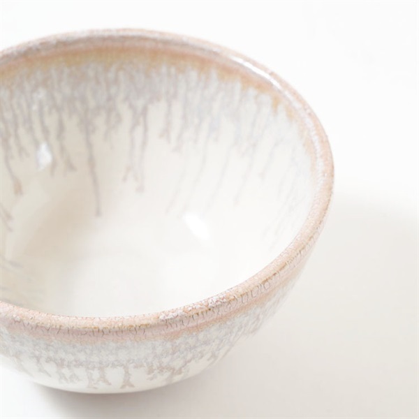 HASAMI - 美濃焼 新品 ボウル セット フクロウ ライオン ☻ クラスカ cerapockke_tr-0010