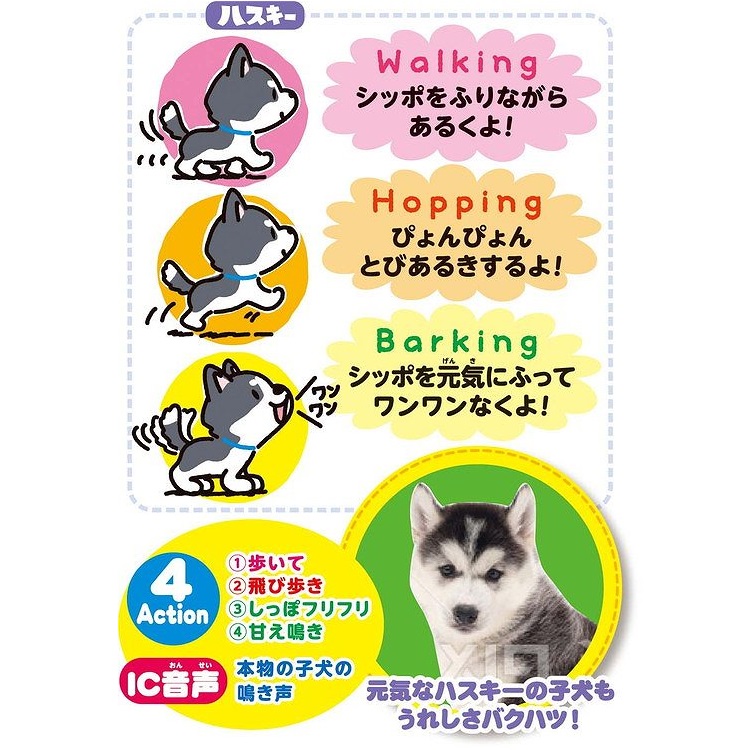うれしさバクハツ！おでむかえワンワン ハスキー 4966510325636 3歳