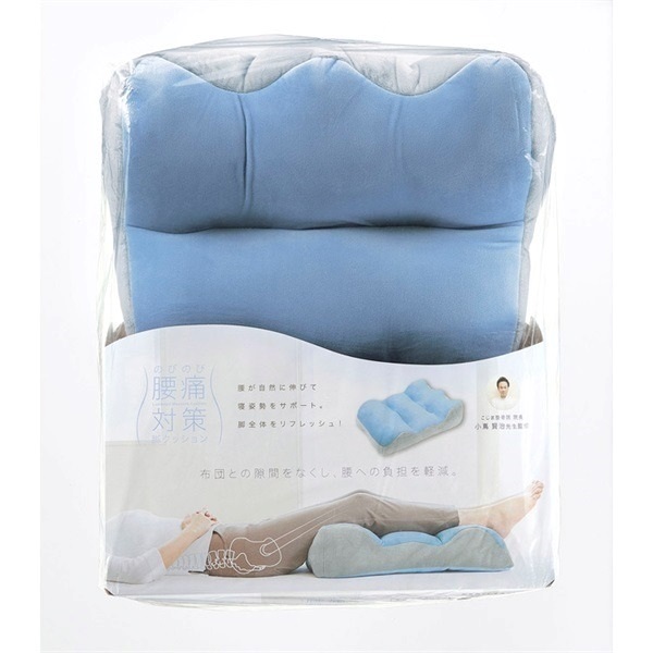 腰痛のコリを和らげるビアンストーン　ホットマット　未開封⑤ 楽天市場】仙骨マット 仙骨ほぐし 仙骨ストレッチ 仙骨 腰痛