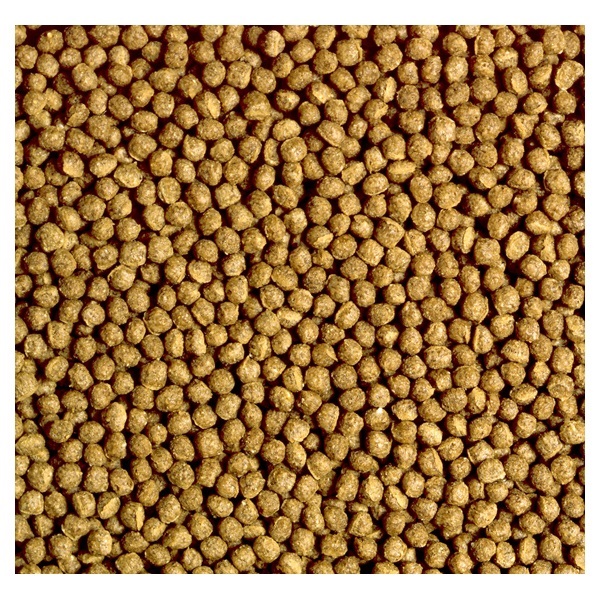 教材カメのエサ 小粒 50g キョーリン | イオンスタイルオンライン 衣料