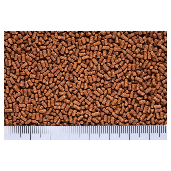 ザリガニのエサ にごり・ニオイ対策用 40g キョーリン | イオン