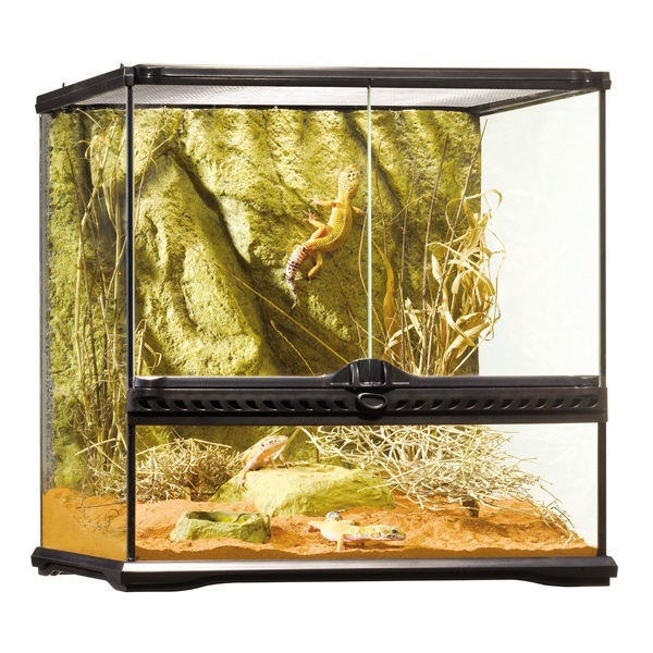 グラステラリウム 4545 PT2605 1個 GEX ジェックス | イオンスタイル