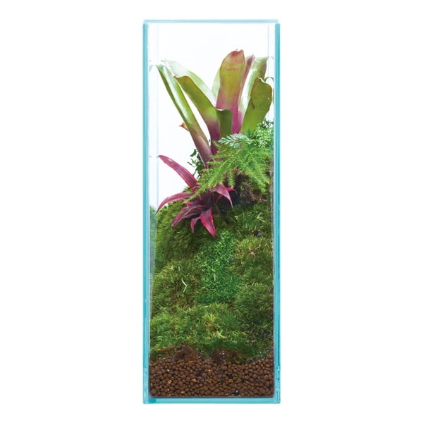グラステリア フィット 200H 1セット Glassterior ジェックス | イオン