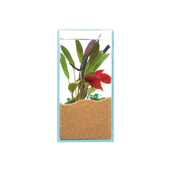 グラステリア フィット 200 1セット Glassterior ジェックス | イオン