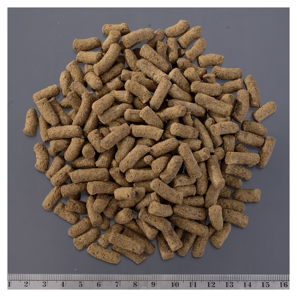 トカゲブレンドフード 400g GEX ジェックス | イオンスタイル