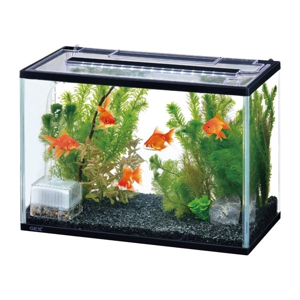 高級 熱帯魚飼育 5点セット GEX AQUA-U他 4万円相当 未使用品 楽天市場】GEX AQUA-U (アクアユー)オールインワン水槽セット