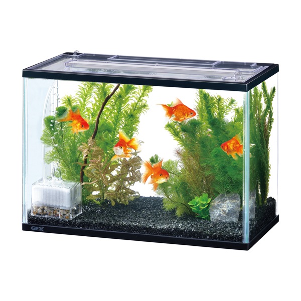 【新品未使用品】アクアエックスプラス　ブラック AquaX Plus Black｜MindooTechnology – 株式会社 Mindoo Technology