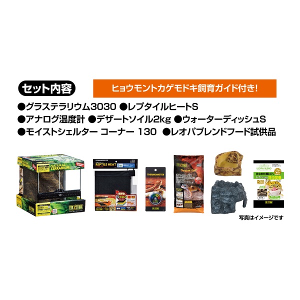 エキゾチックアニマル飼育セット ミニアニマン ハムリウム ハムスターの飼育セット 1個 - アスクル