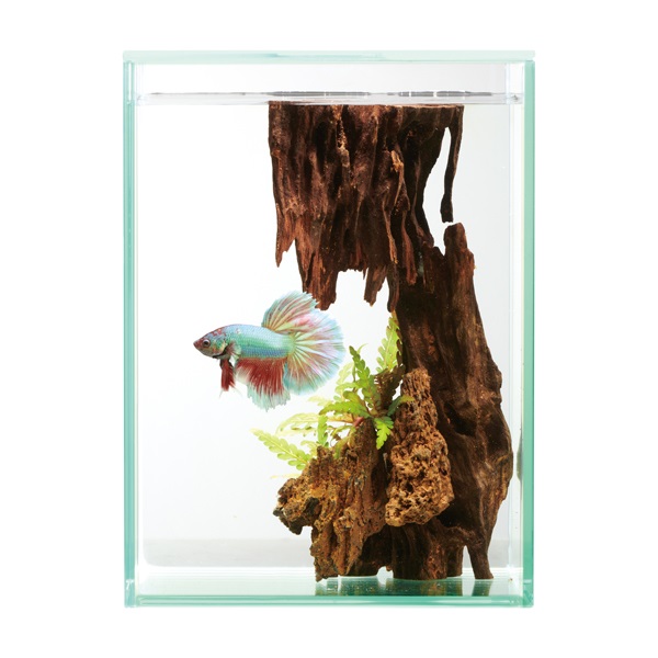 GEX グラステリアフィット ベタ 150 ⑤個セット グラステリア フィット ベタ 150 1セット Glassterior ジェックス