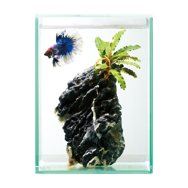 グラステリア フィット ベタ 150 1セット Glassterior ジェックス