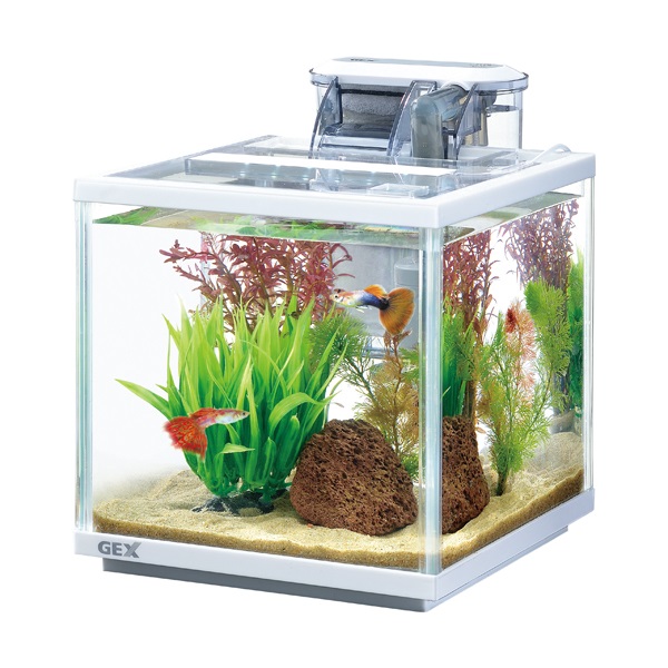 スリムアクアセット 200 1セット GEX ジェックス | イオン