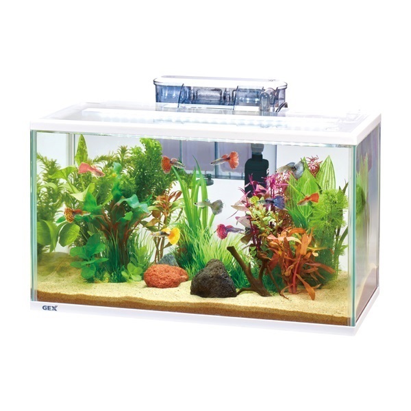 アクアリウム スリムアクアセット 500 1セット GEX ジェックス | イオンスタイル