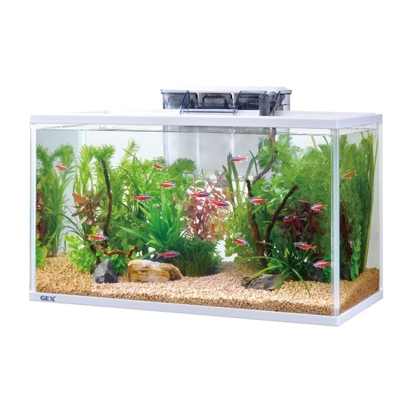 スリムアクアセット 500 1セット GEX ジェックス | イオンスタイル