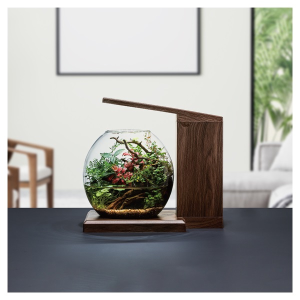 水槽セット GEX グラスアクア PERCO C-チャコール ブラック『送料無料