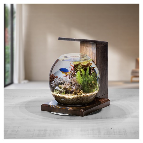 グラスアクア PERCO B‐Dark Wood こげ茶 GEX ジェックス | イオン