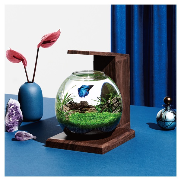 グラスアクア PERCO B‐Dark Wood こげ茶 GEX ジェックス | イオン