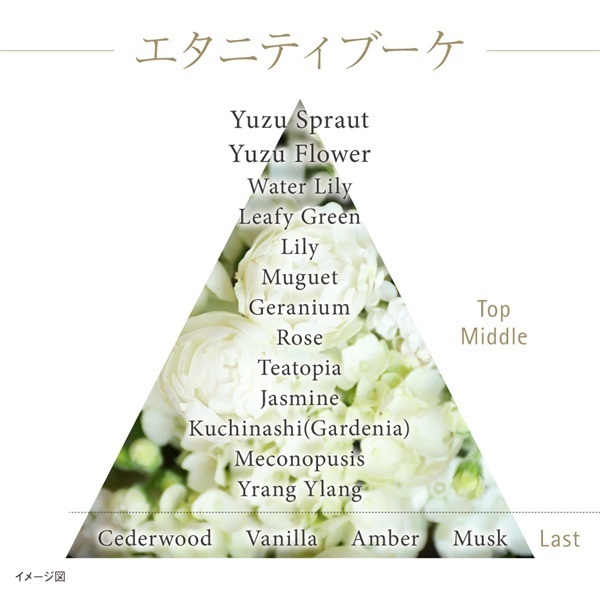 KANEBO(カネボウ) ザ エマルジョン【医薬部外品】 | イオン