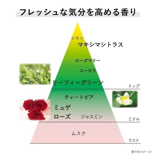 KANEBO(カネボウ) クリーム イン デイ II | イオンスタイルオンライン