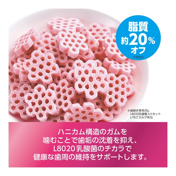 ゴン太の歯磨き専用ガム L8020乳酸菌入り カット 120g サンライズ