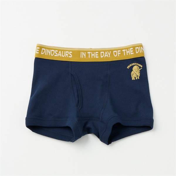 綿100％(身生地) ボクサーブリーフ2枚組 恐竜柄 トップバリュ キッズ