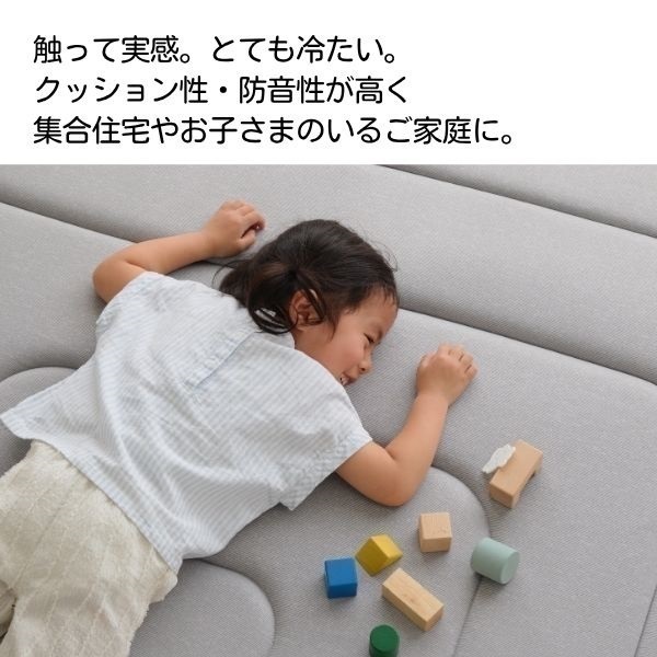 ホームコーディ アイスコールド とても冷たい 極厚・防音ラグ30mm
