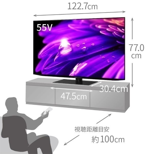 シャープ 55v型4K 有機ELテレビ AQUOS 4TC55ES1【玄関先お届け商品