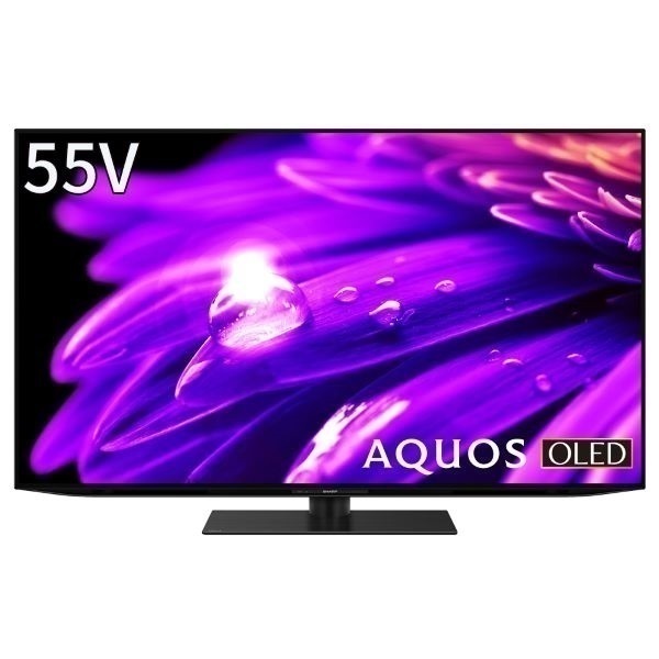 シャープ 55v型4K 有機ELテレビ AQUOS 4TC55ES1【玄関先お届け商品
