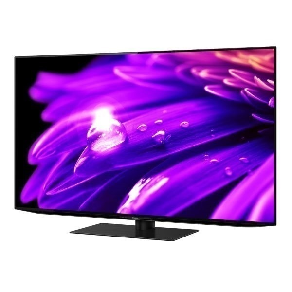 シャープ 55v型4K 有機ELテレビ AQUOS 4TC55ES1【玄関先お届け商品