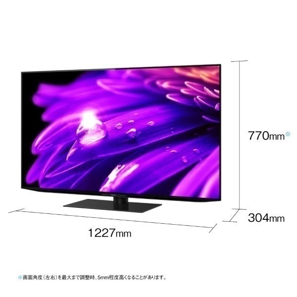 シャープ 55v型4K 有機ELテレビ AQUOS 4TC55ES1【玄関先お届け商品